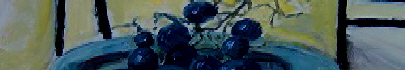 2005-12 Blaue Trauben, 500x41
