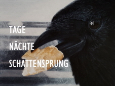 Cover_Tage-Naechte-Schattensprung-170x227